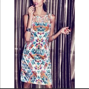 Adrianna Papell Caged Yoke Floral Sleeveless White/Blue/Pink Sheath Dress